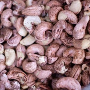 cashew nut raw