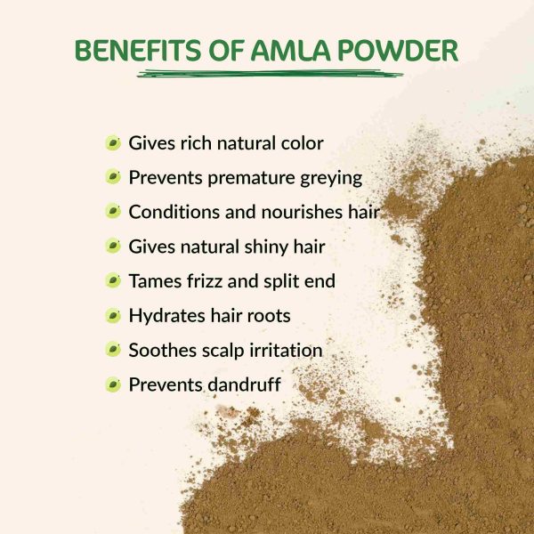 Amla Powder | 100% Natural Hair Care